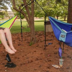 hammock-study-break